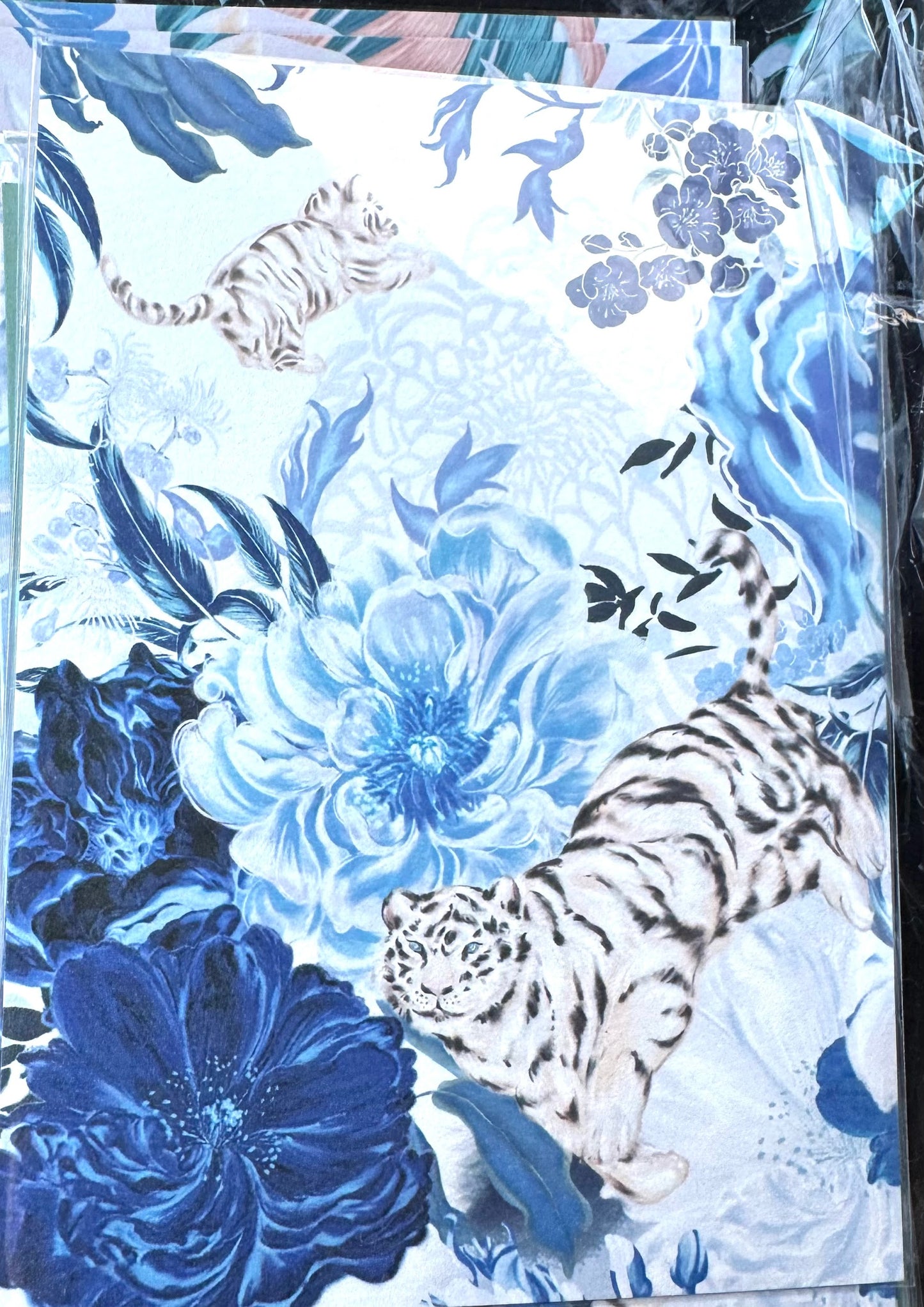 Postcard / 明信片