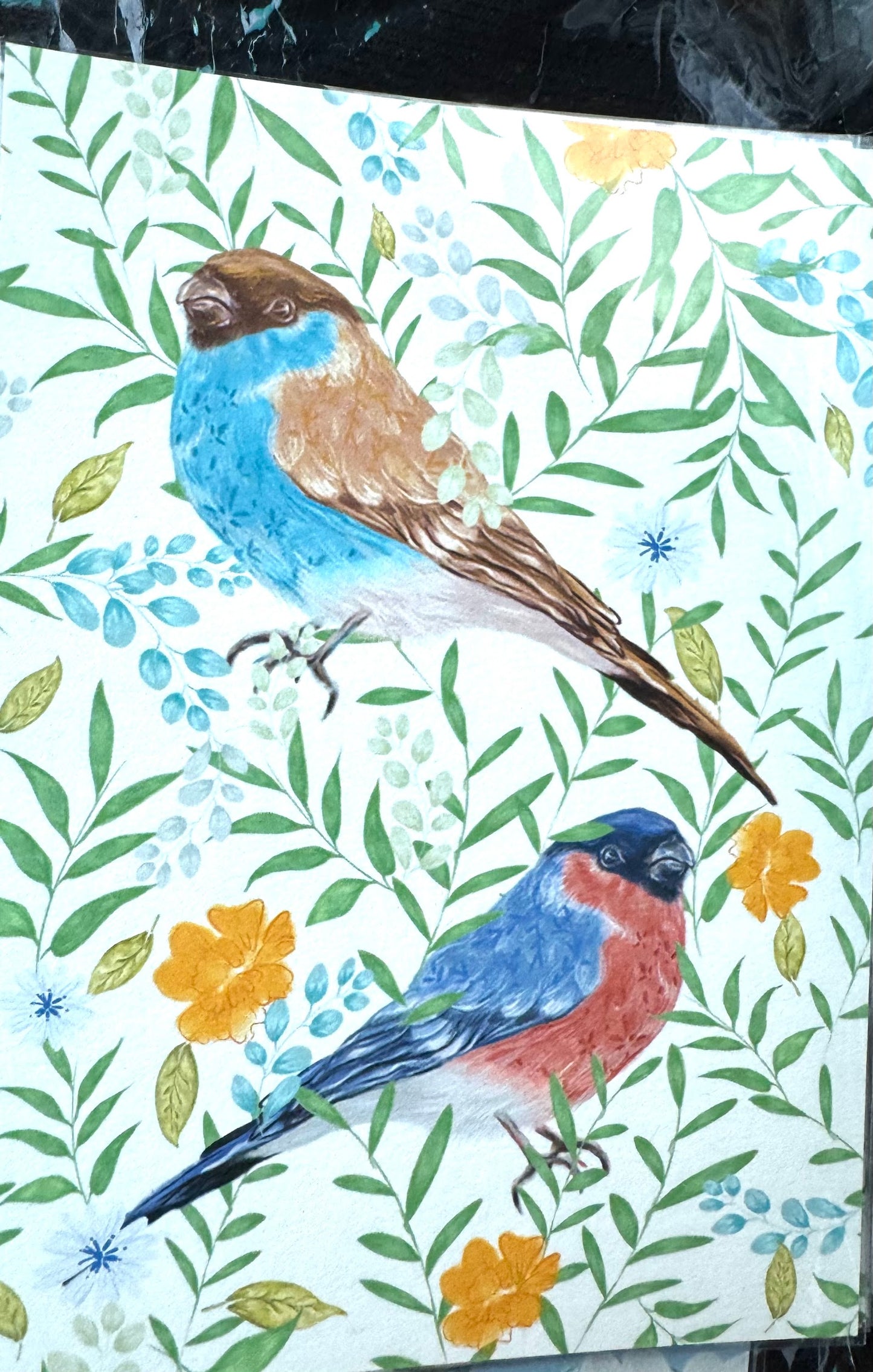 Postcard / 明信片