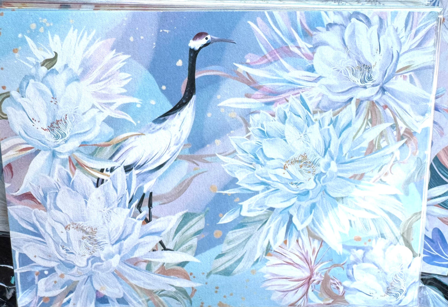 Postcard / 明信片