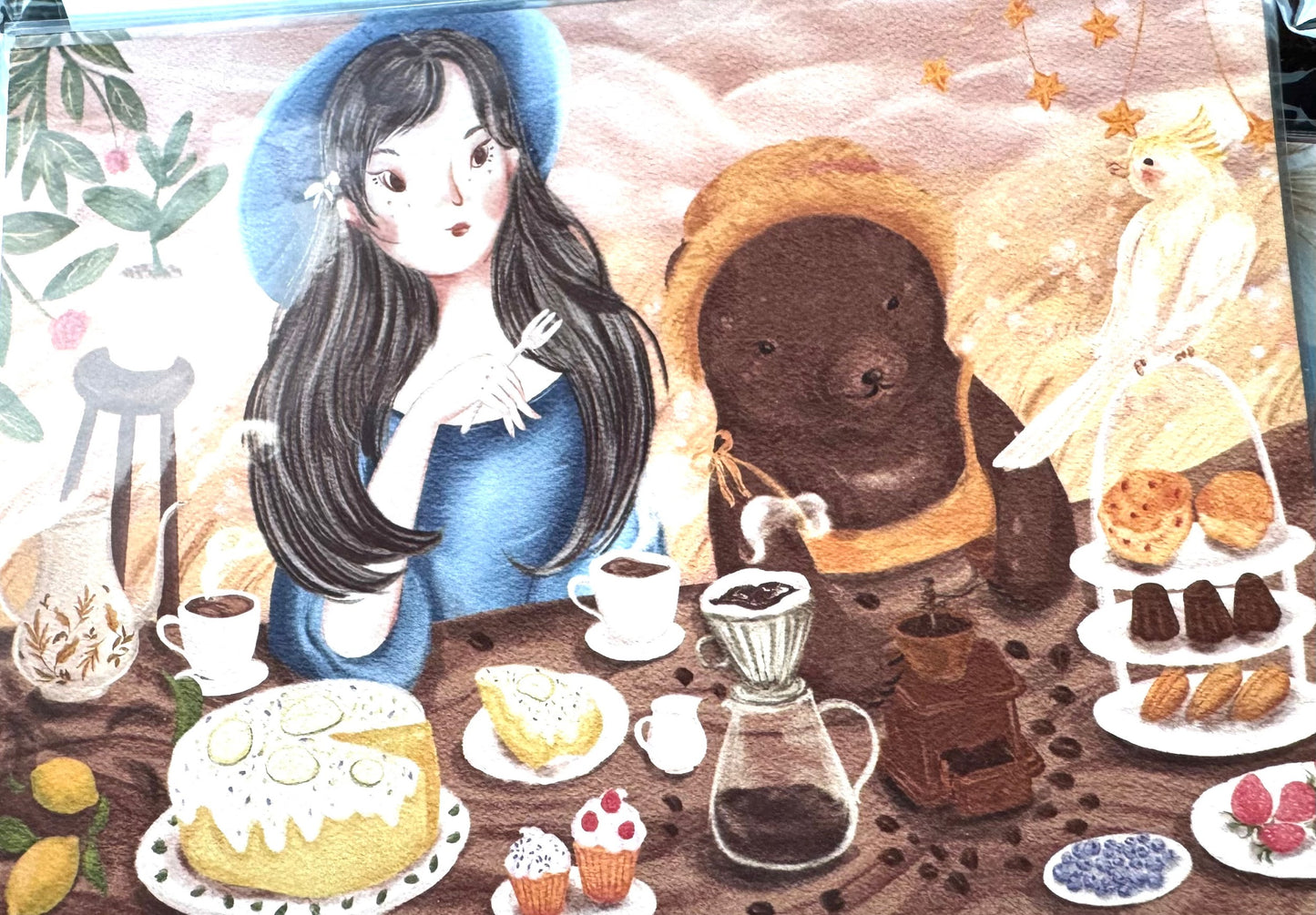 Postcard / 明信片
